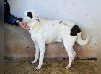 Arunny - aller guten Dinge sind drei