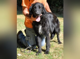 Settimio - Ich bin da, jetzt läuft's!?