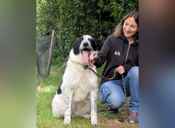 Jasmine - Wer nicht neugierig ist, erfährt nichts!