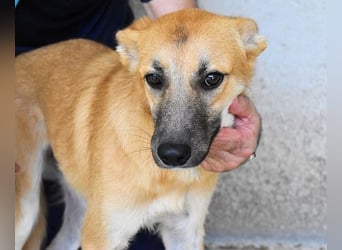 Osita - "Und wenn sie nicht weg sind.....