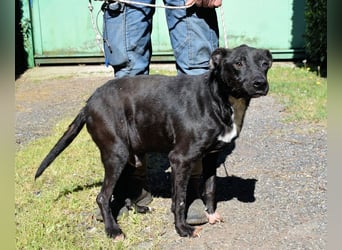 Rhino - NOTFALL !!! - Wenn man nicht auffällt, geht man unter