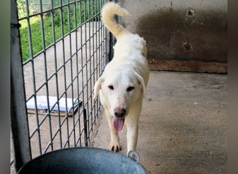 Arriel - aller guten Dinge sind drei