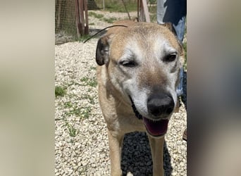 Plugh - Opa Plugh möchte die Welt - und Sie! kennenlernen