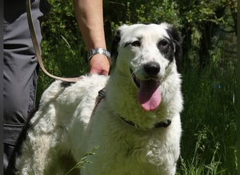 Marni - Dieses Herz hat schon zu lange gewartet