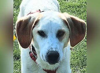 Deddy -  Mit neugierigen Pfoten ins Leben