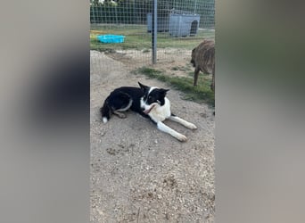 Selina - Nach einer langen Reise endlich ankommen dürfen