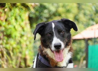 Coraggio - Schritt für Schritt ins Leben zurück