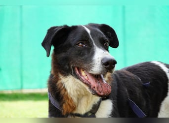 Coraggio - Schritt für Schritt ins Leben zurück