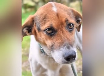 Kamyll - Findet er Sie...