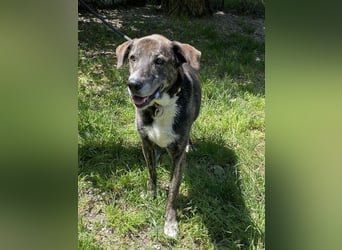 Lola - Das Herz hat seine Gründe