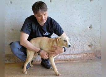 Rodrigue - Ein Anfang, der nie kam