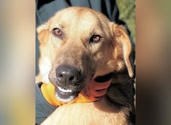 Kairo - möchte einfach nur genießen