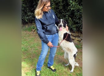 Jessie - Wer nicht neugierig ist, erfährt nichts