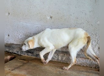 Radford - Ein Anfang, der nie kam