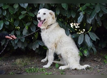 Florenz - bereit für das Abenteuer Leben