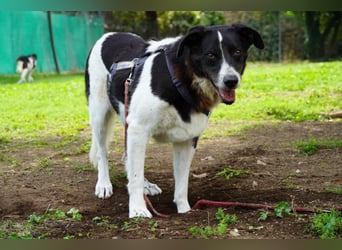 Coraggio - Schritt für Schritt ins Leben zurück