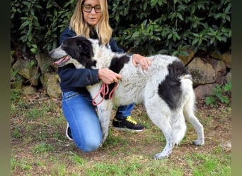 Jessie - Wer nicht neugierig ist, erfährt nichts