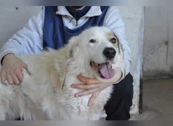 Bailoch - Zeig mir doch bitte...