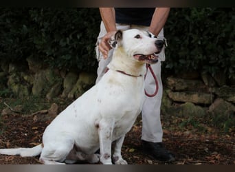 Argo - hungrig auf Leben und Er-Lebnisse