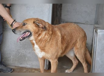 Kemp - Runder Rundum-Schatz