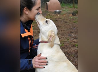 Hughie - macht ein Freundschaftsangebot