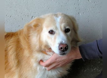 Tirvian - Kurz Alarm, dann Charme