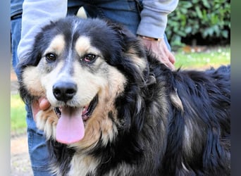 Oliverio - ohne Anklage hinter Gittern