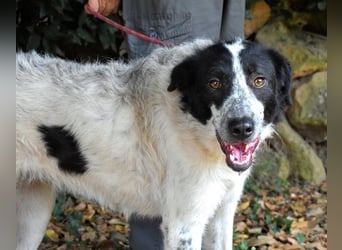 Jessie - Wer nicht neugierig ist, erfährt nichts