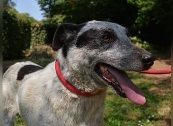 Medwin - Wo ist denn nun das wahre Leben?