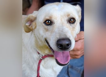 Hughie - macht ein Freundschaftsangebot