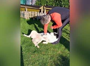 Marni - Dieses Herz hat schon zu lange gewartet