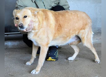 Ariana - lange sitzen sie schon da und haben es schwer