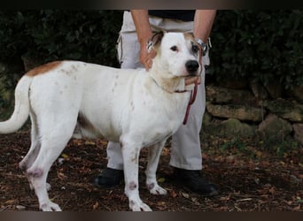 Argo - hungrig auf Leben und Er-Lebnisse