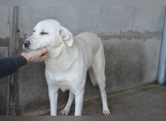 Cyra - Cyra, bald bist auch Du dran!