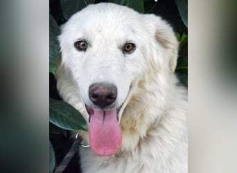 Florenz - bereit für das Abenteuer Leben