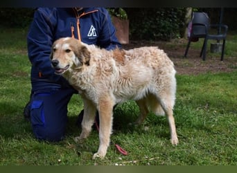 Ligorio - Zwölf, elf, zehn ... eins - Ligorio