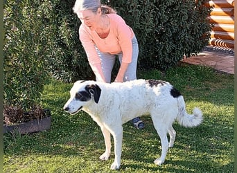 Marni - Dieses Herz hat schon zu lange gewartet