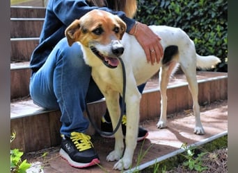 Kamyll - Findet er Sie...