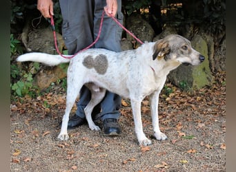 Helder - spricht für sich
