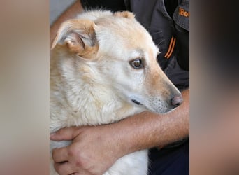 Addison - lange sitzen sie schon da und haben es schwer