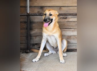 Osita - "Und wenn sie nicht weg sind.....