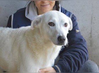 Dafnielle - Zukunft gesucht