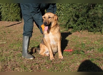 Kairo - möchte einfach nur genießen