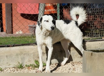 Marni - Bereit für ihr eigenes kleines Glück