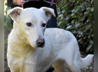 Dafnielle - Zukunft gesucht