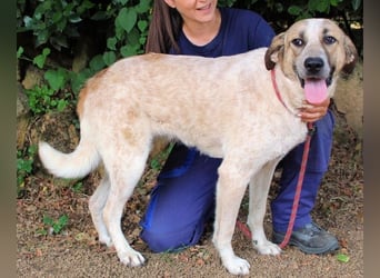 Solidea - 744 Stunden