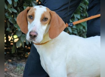 Samarie - Abenteuerlust und Kuschelzeit