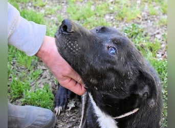 Rhino - NOTFALL !!! - Wenn man nicht auffällt, geht man unter