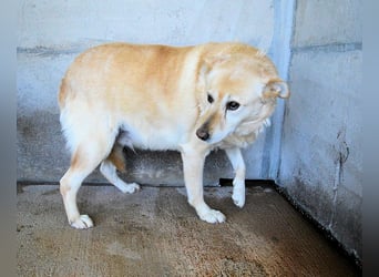 Addison - lange sitzen sie schon da und haben es schwer