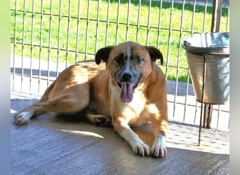 Sunitha - Drei Leben. Drei Chancen.